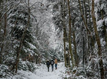 Met welke schoenen kun je het beste door de sneeuw wandelen?