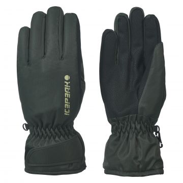 Icepeak Hayden Gloves