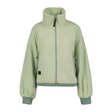 Icepeak Adonet