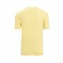 Icebreaker M Merino Linen SS Tee Stripe