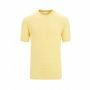 Icebreaker M Merino Linen SS Tee Stripe