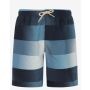 Protest Prtjames Jr Beachshort