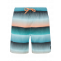 Protest Radar Beachshort