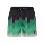 Protest Bowery Beachshort
