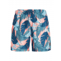 Protest Prtlianes Beachshort