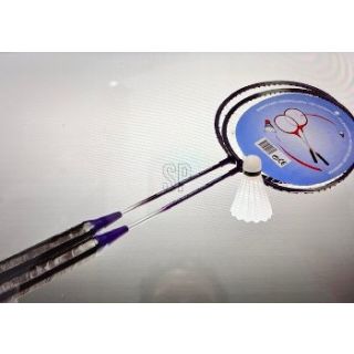 Badminton Set