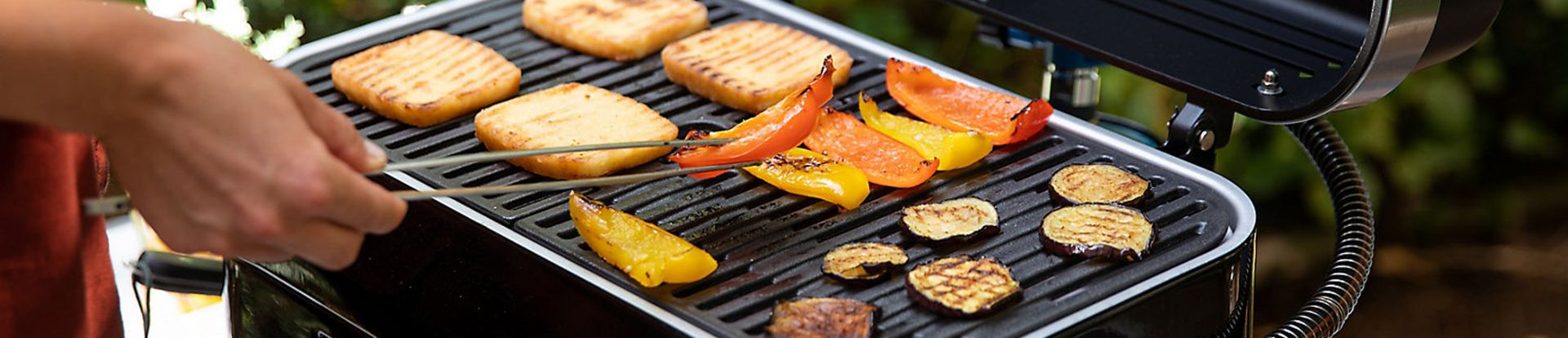 Friteuse en Bakplaten