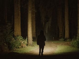 Veilig wandelen in het donker