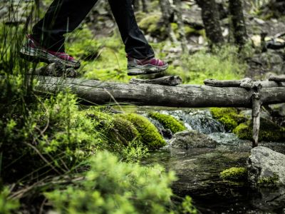 Gore-Tex surround