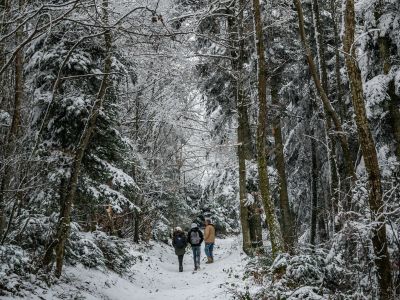 Met welke schoenen kun je het beste door de sneeuw wandelen?