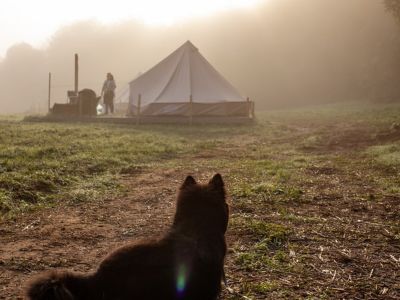 Hoe verwarm je een tent? 