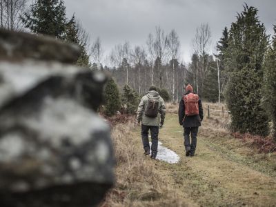 Wandelen in de herfst