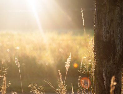 Hoe overleef je een hete zomer op de camping?