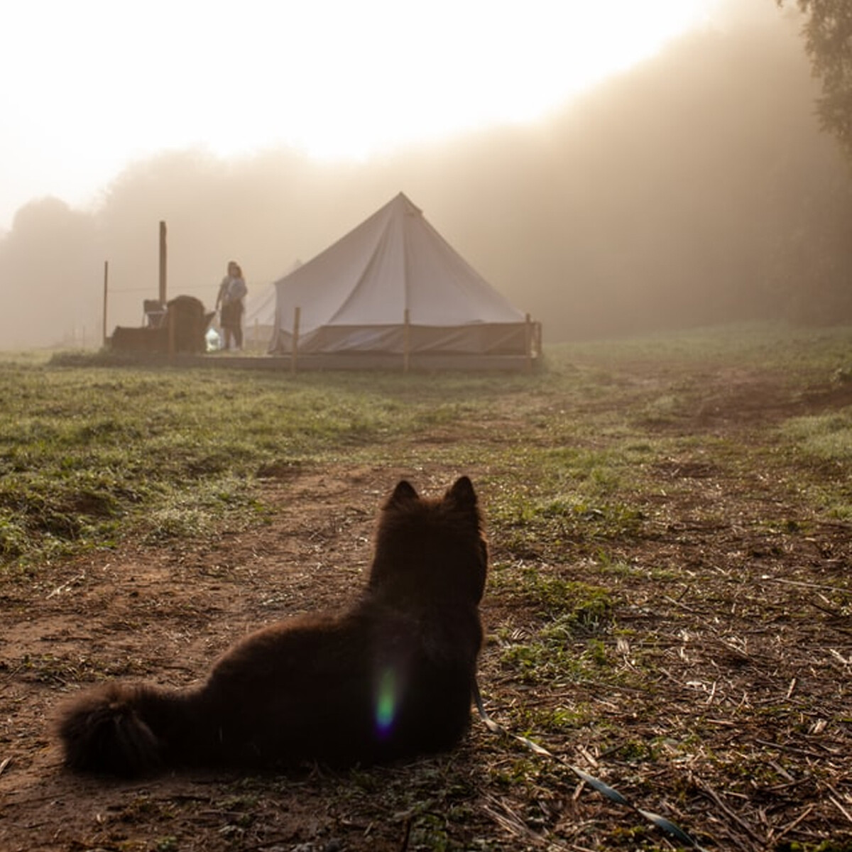 tent opwarmen