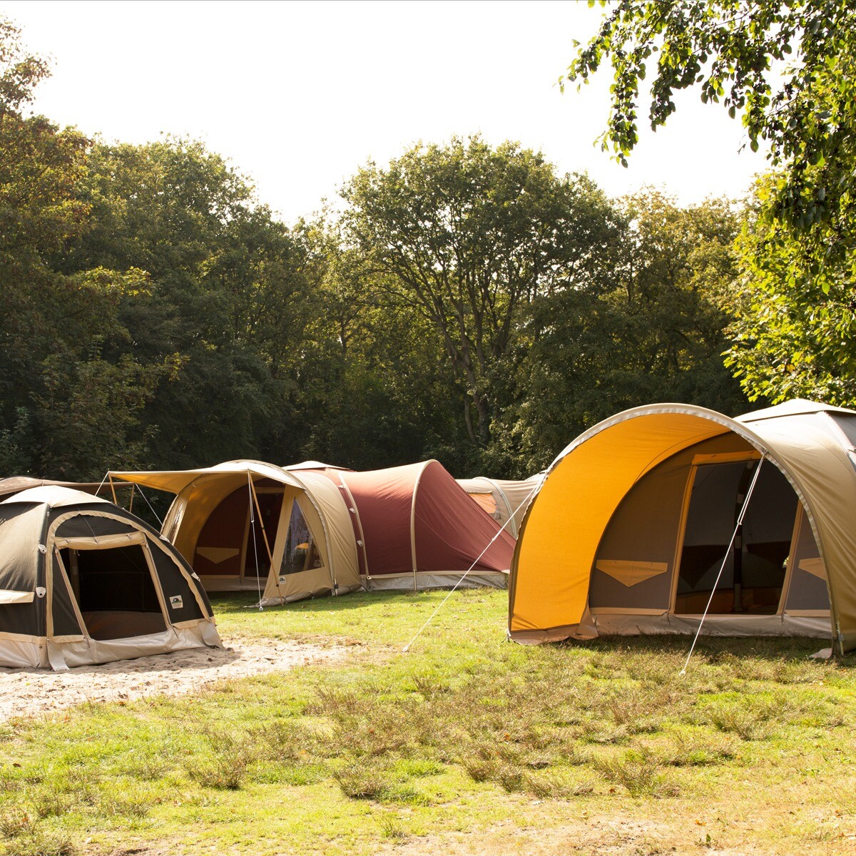 Tent kieswijzer